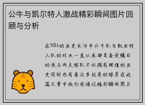 公牛与凯尔特人激战精彩瞬间图片回顾与分析