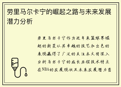 劳里马尔卡宁的崛起之路与未来发展潜力分析