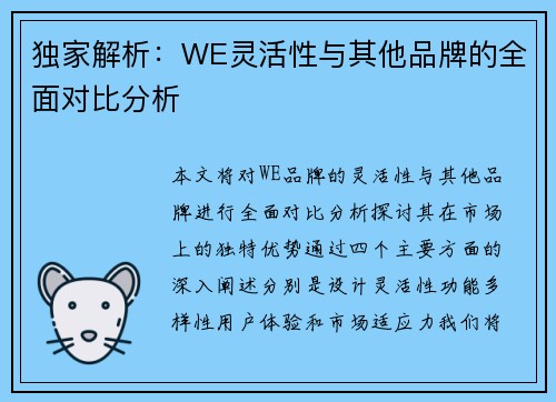 独家解析：WE灵活性与其他品牌的全面对比分析