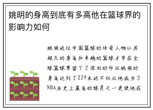 姚明的身高到底有多高他在篮球界的影响力如何