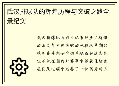 武汉排球队的辉煌历程与突破之路全景纪实